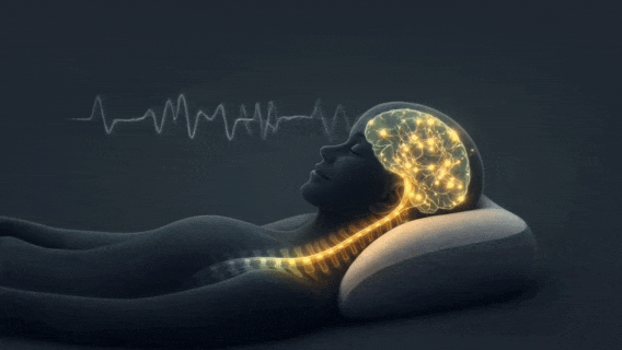NeckZen efecto en el cerebro durante el sueño